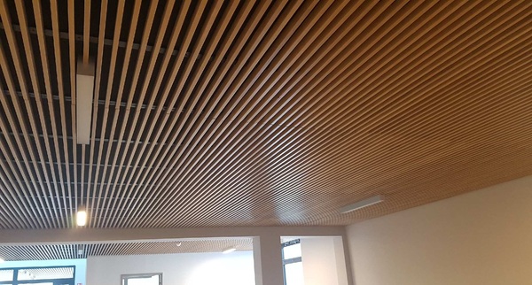 Fakulteta Renoir France